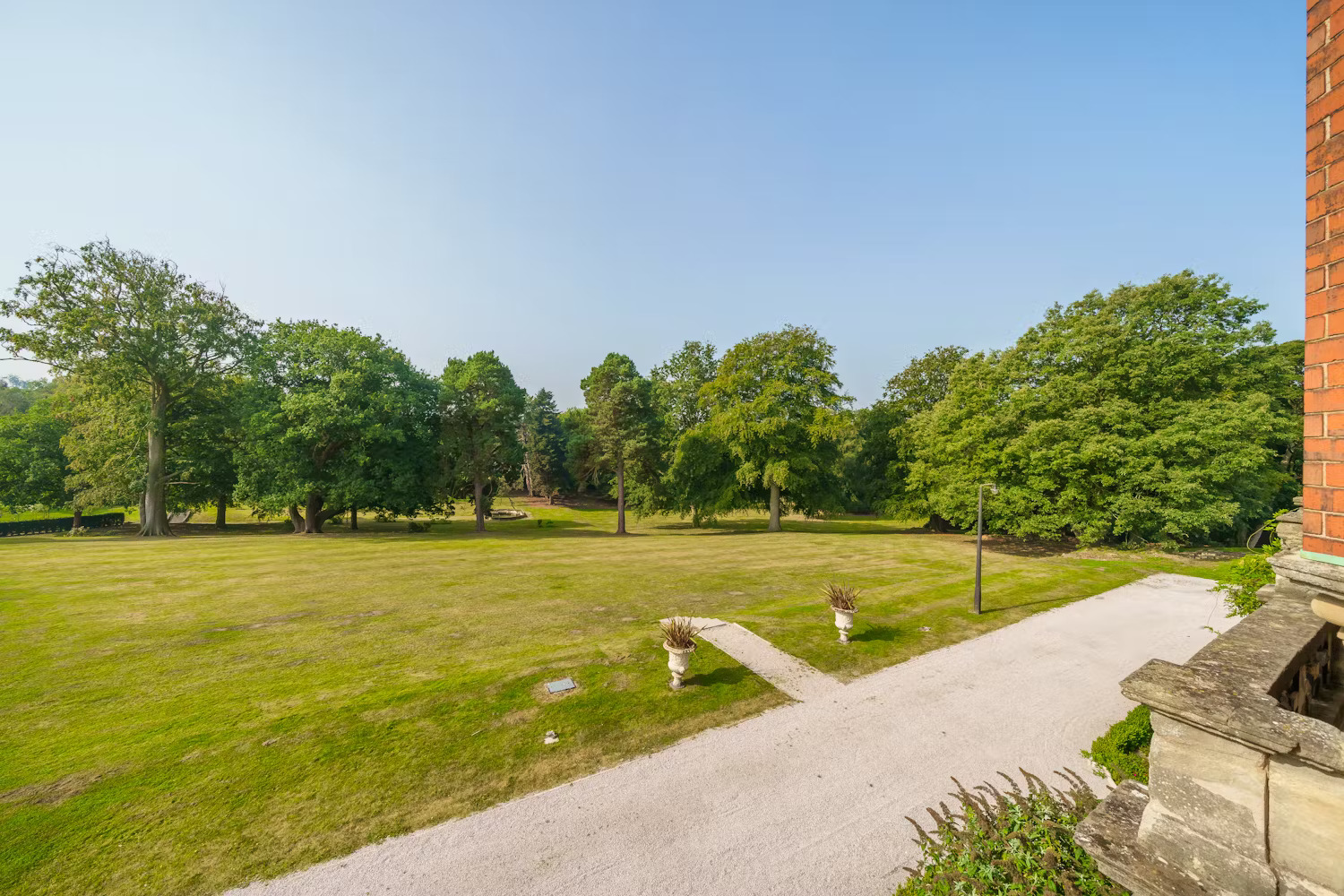Rossington Hall Woodland