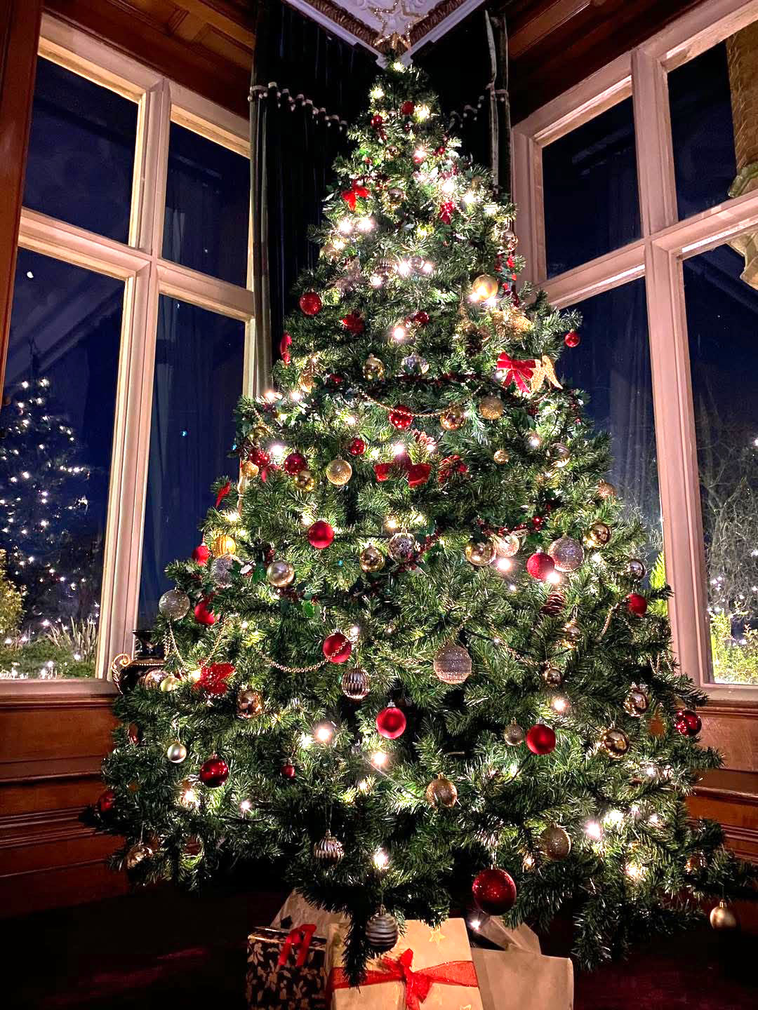 Rossington Hall Christmas Tree